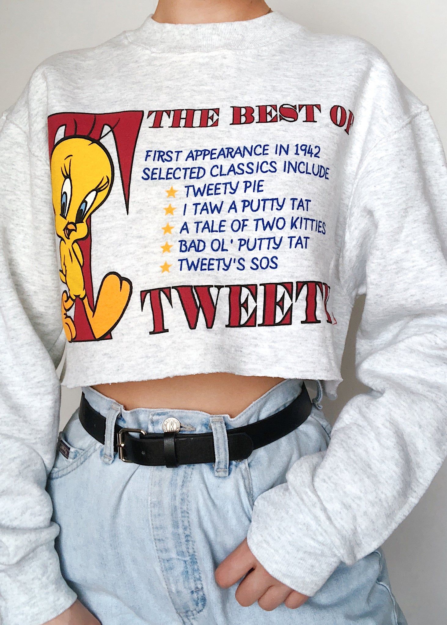 tweety sweater