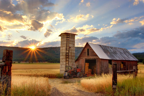 Arbeit auf einer Farm, um Reisen zu finanzieren