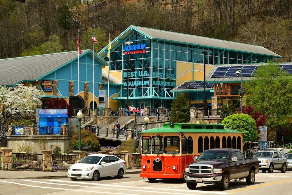 things to do in gatlinburg for adults