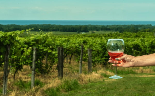 Lake Erie is home to a thriving wine country