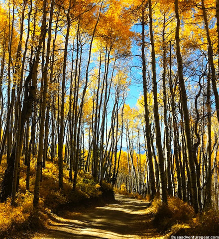 USA Adventure Gear Colorado Aspens