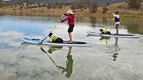 Paddle boarding on Colorado's Ridgway Reservoir  