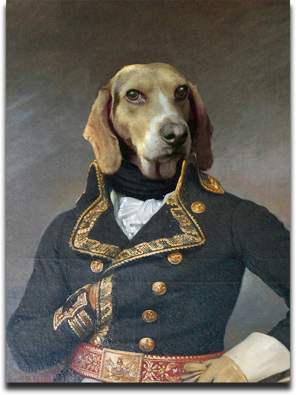 NEW Custom Pet Portraits: The Admiral 