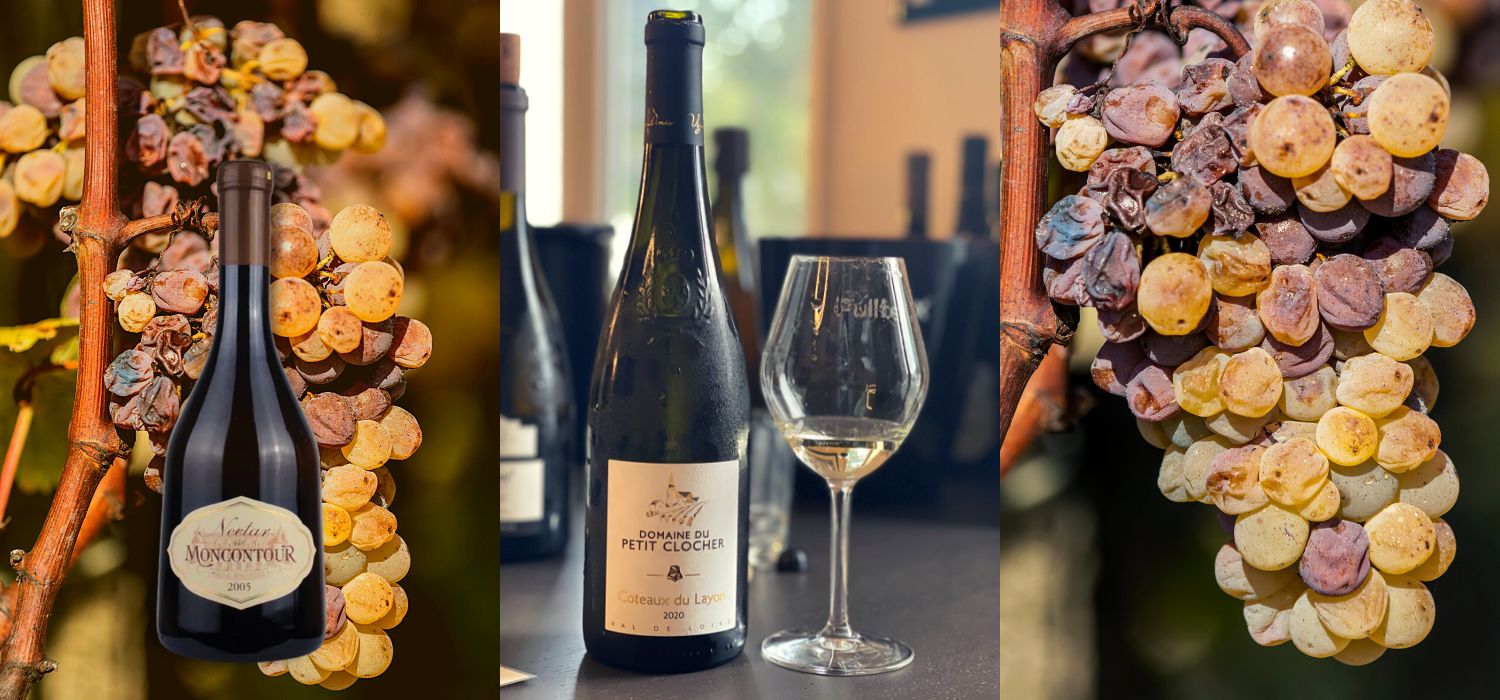 Two appellations in Loire Valley also produce artisanal noble rots (Botrytis cinerea) affected sweet wines from the Chenin Blanc grape with amazingly balanced acidity and high ageing potential. 