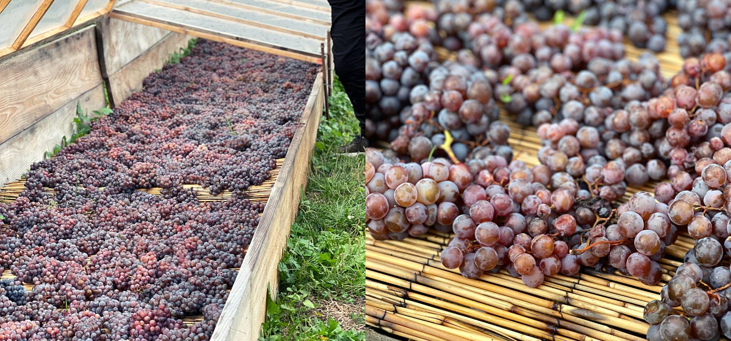 One winemaking technique to craft artisanal sweet wine is raisining. This natural method lets water evaporates naturally and concentrates the flavour and aroma before pressing. 