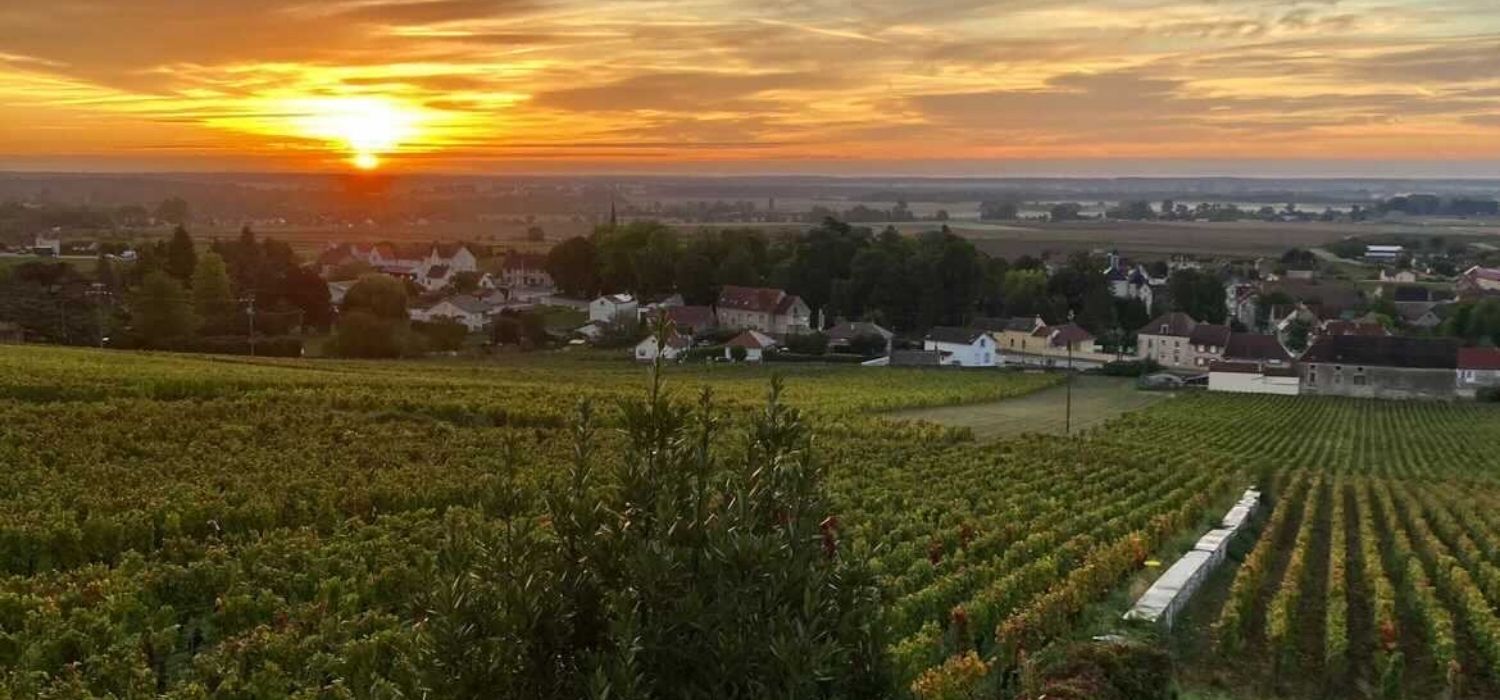 Domaine Thiriet at sunset