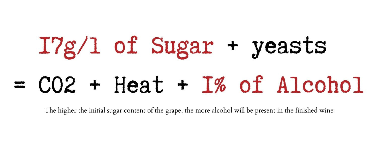 Wine fermentation formula