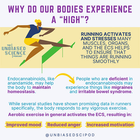 Why does running give you a high? A look at the science
