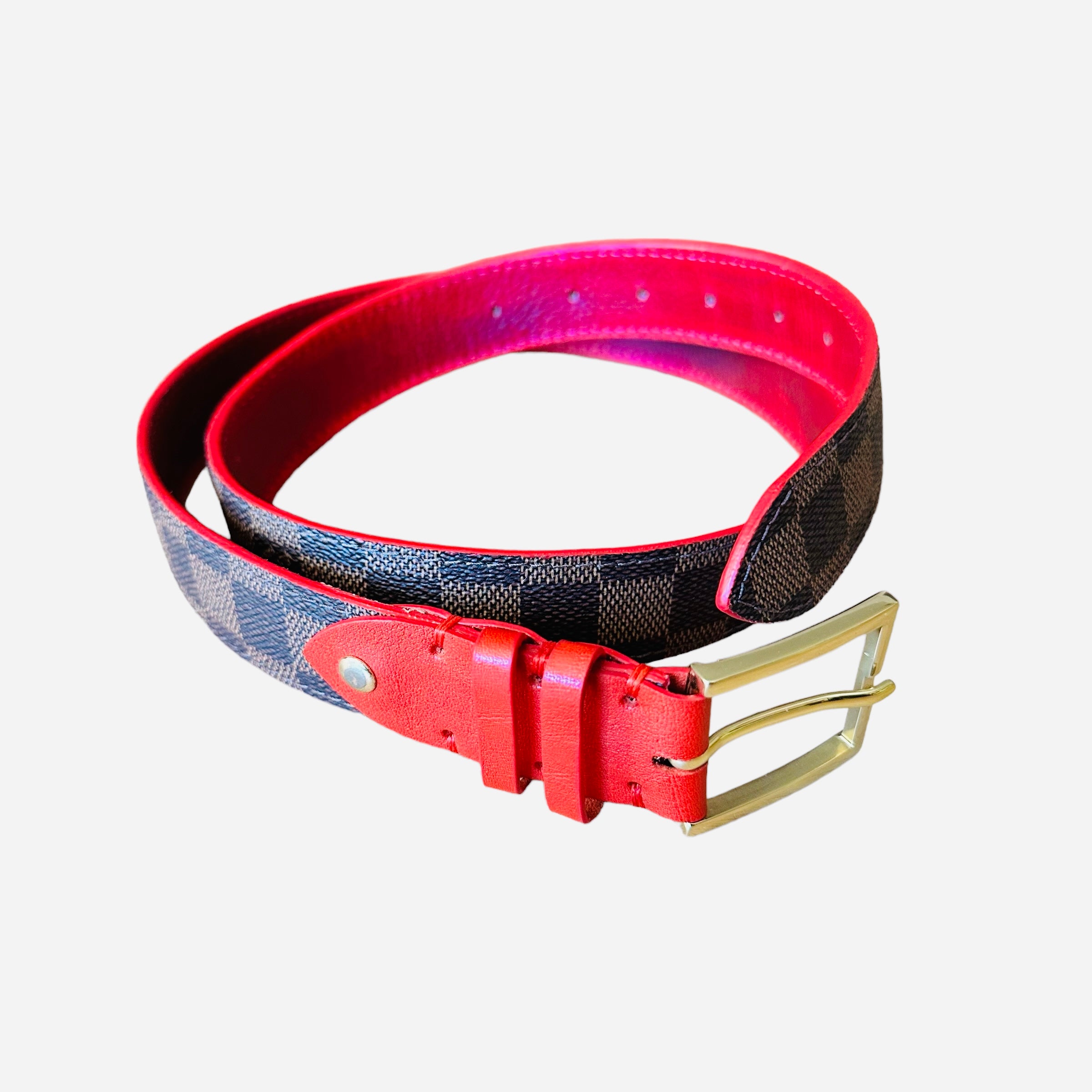 NTWRK - Louis Vuitton Damier Dog Collar (M)