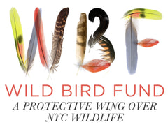 Wild Bird Fund logo