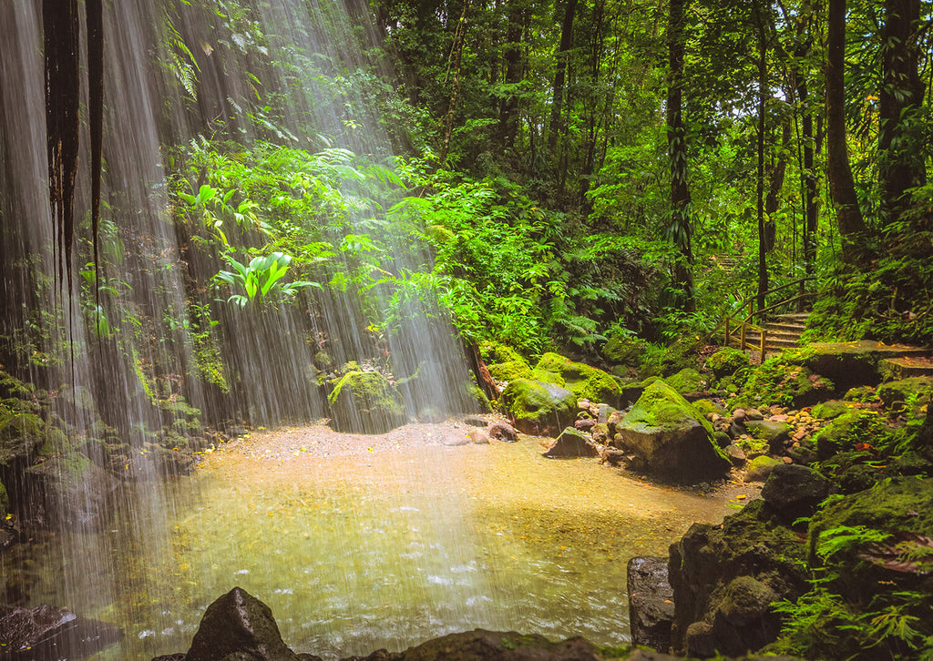 Emerald Pool, Dominica