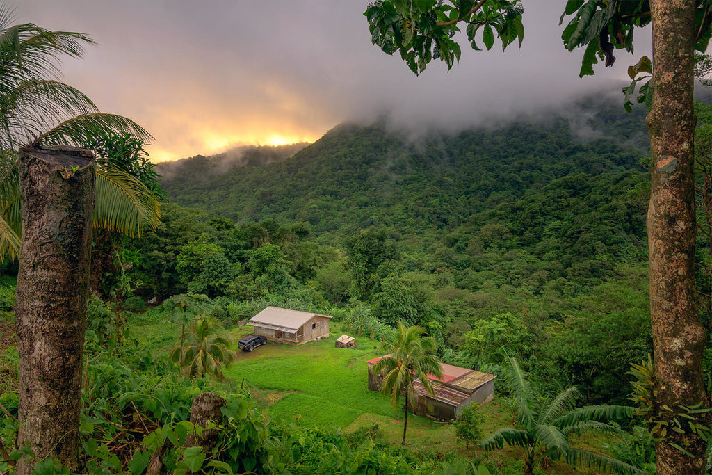 Schönes, Dominica