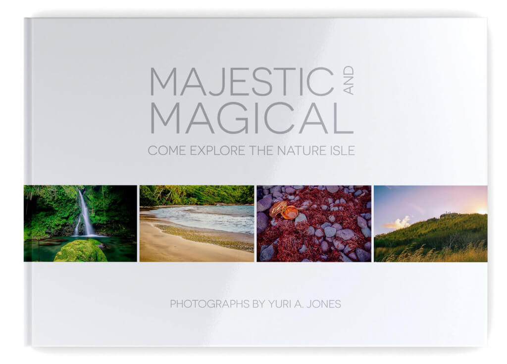 Book cover of Majestic and Magical