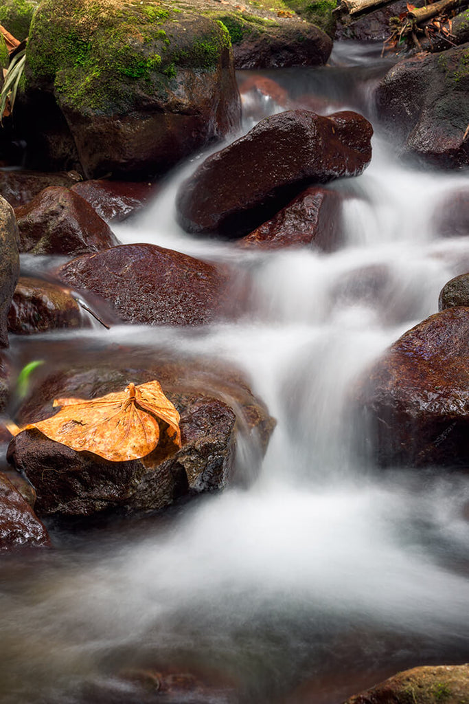 Middleham River II by Yuri A Jones