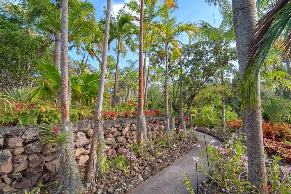 Jardins botaniques de Nevis, Nevis