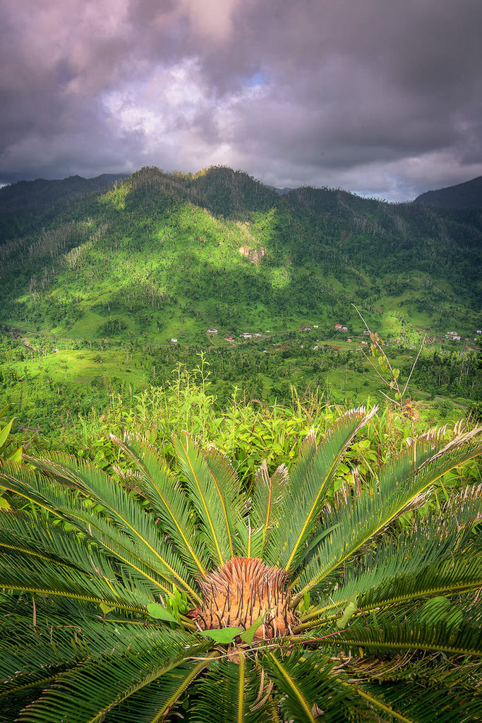 Horseback Ridge, Dominique