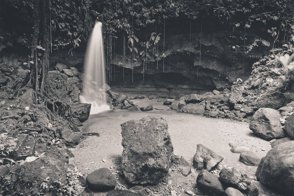 Emerald Pool, Dominica