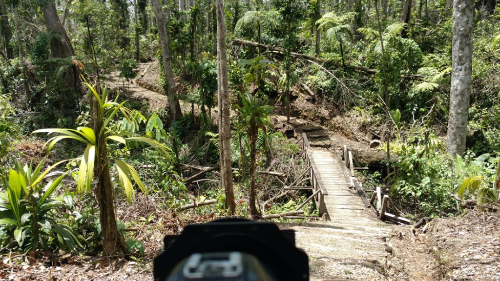 Syndicate Trail after Hurricane Maria