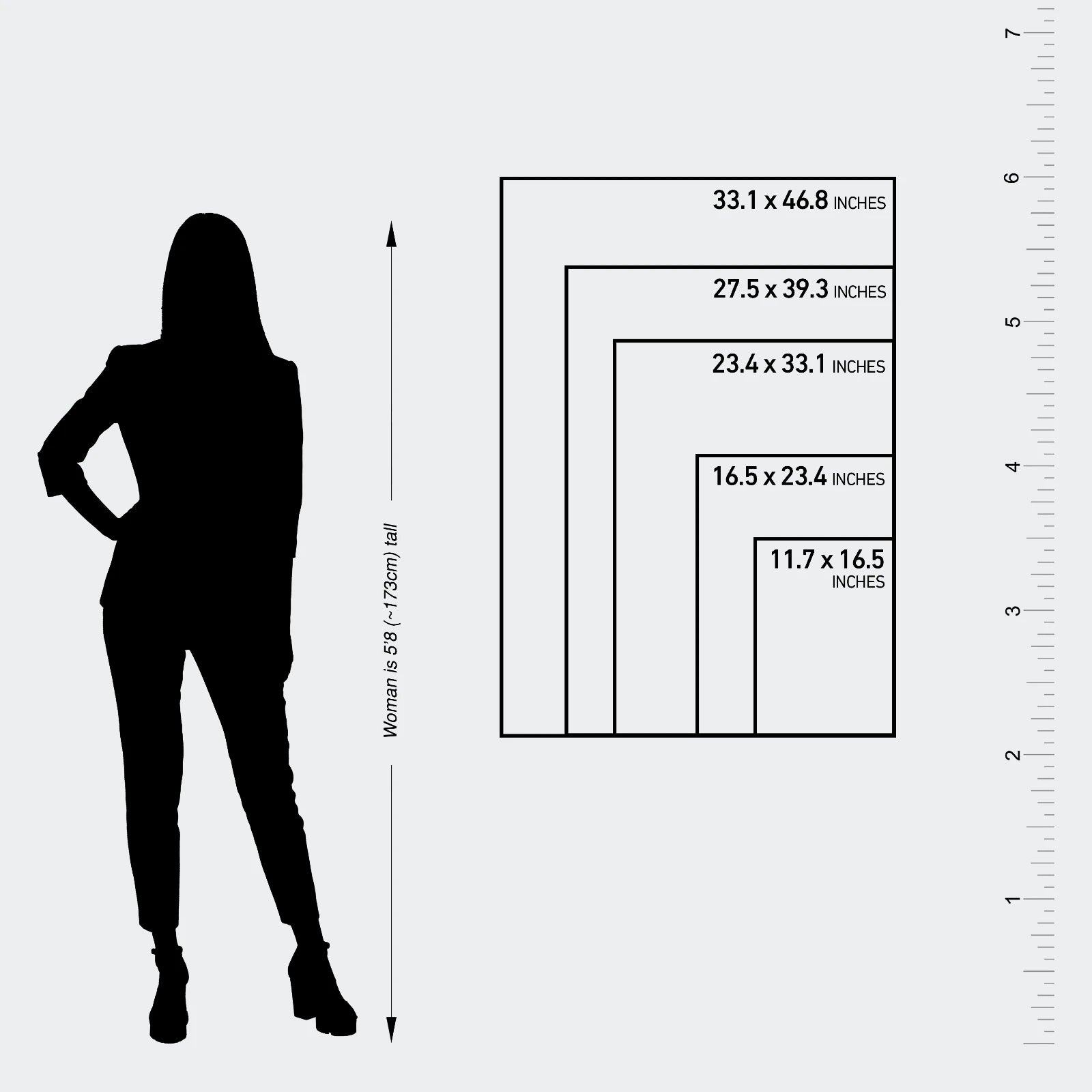Limited Edition Size Comparison Chart