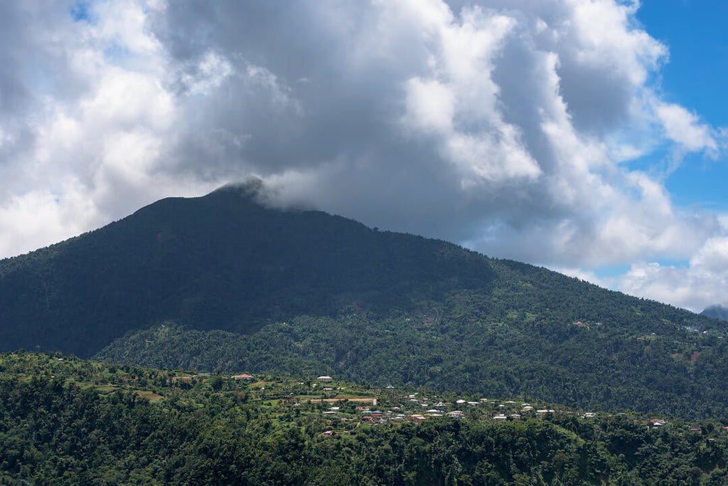 Vue depuis Laudat Road-par Yuri A Jones