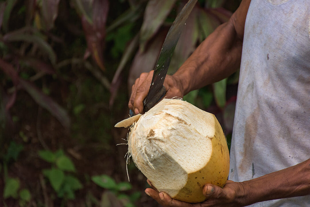 Kalinago farmer, Dominica