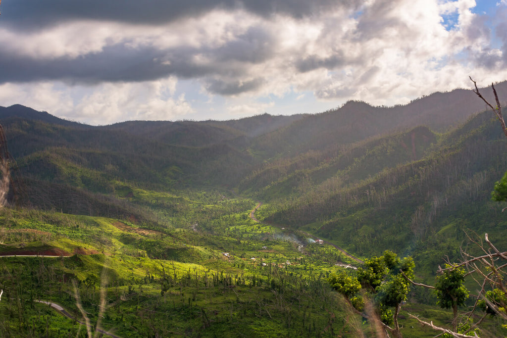 Horseback Ridge, Dominica