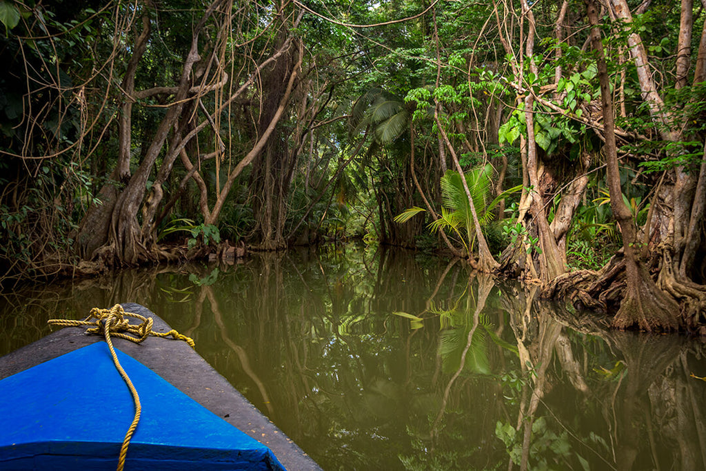 Indian River, Dominica