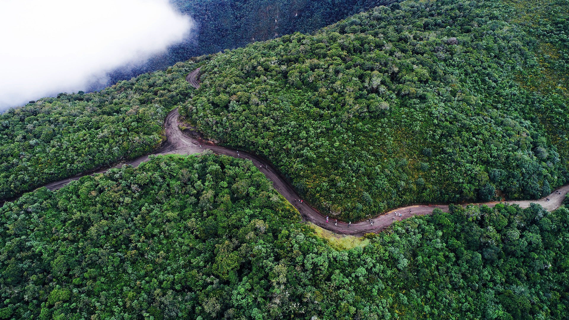 Amazonas Ecuador