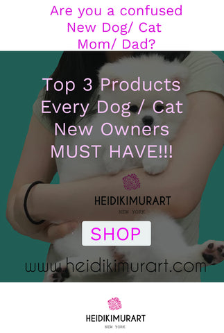 Top 3 Must Have Pet Accessories for Any New Dog/ Cat Moms and Dads