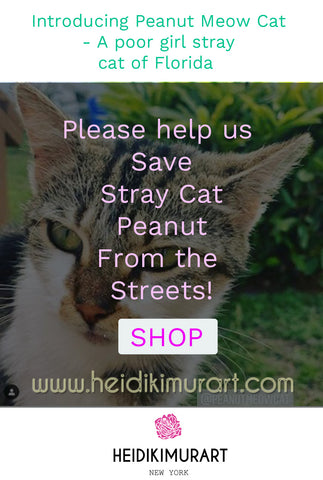 Introducing Peanut Meow Cat - A poor girl stray cat from the streets of Florida now saved  Please help us save Peanut from the streets!