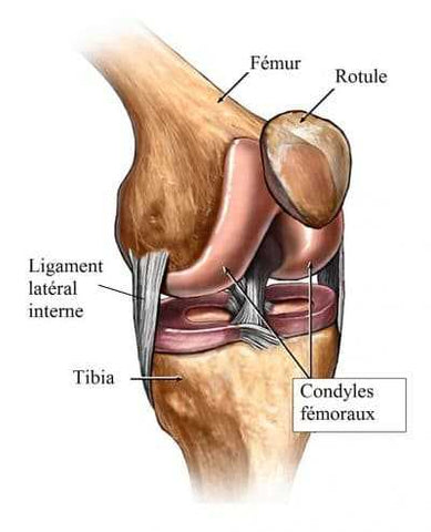 Genou qui craque : symptômes, causes et traitement pour soigner ...