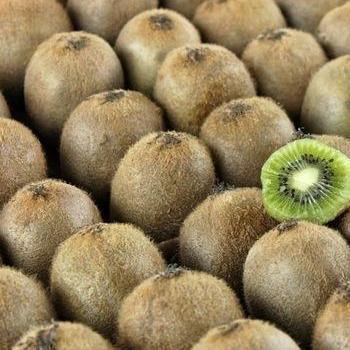 Kiwi Fruit (Kg)