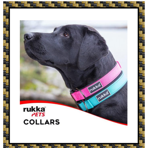 Rukka pets collar collection Averys motorcycles 