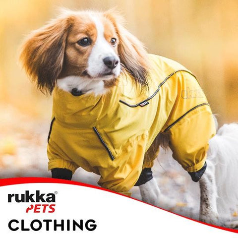 collezione di abbigliamento per animali domestici rukka