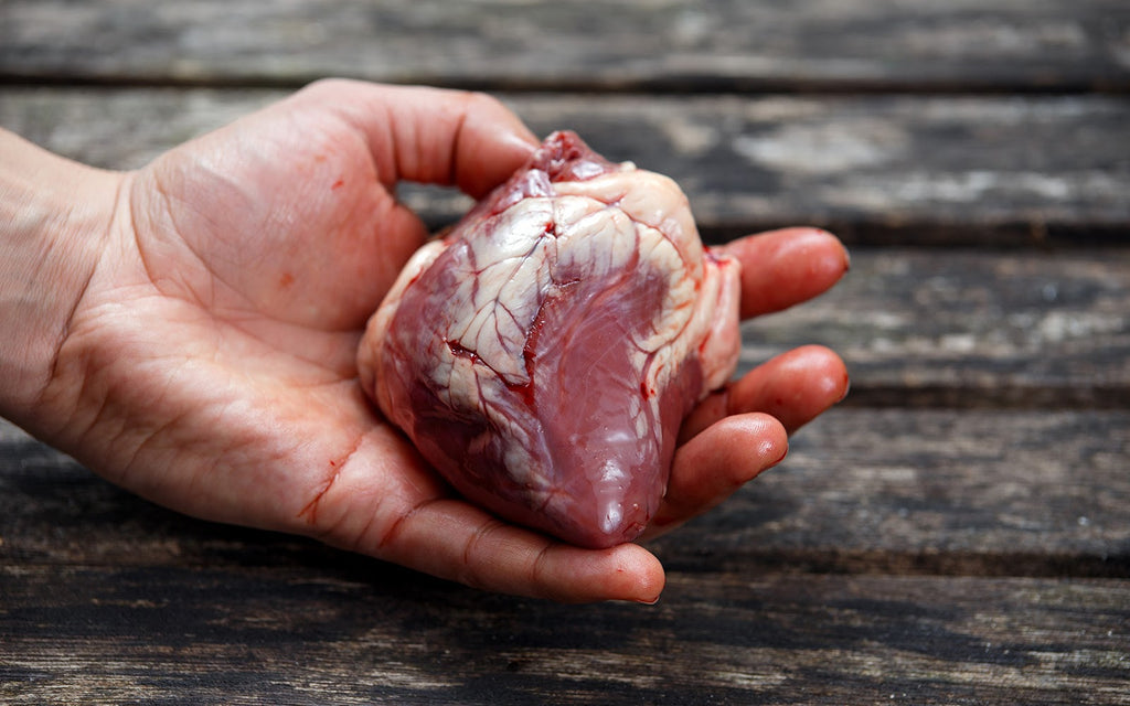Hand holding a raw lamb heart