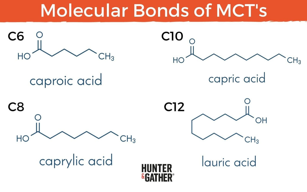 Molecular structure of MCT Oil 