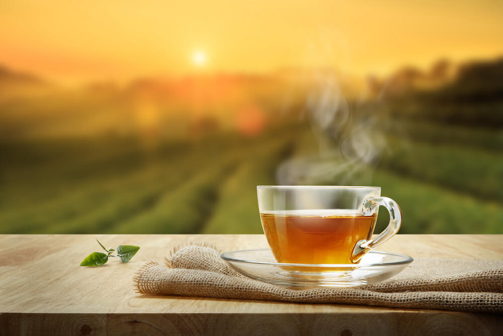 collagen tea: Cup of hot tea on a wooden surface with a field in the background