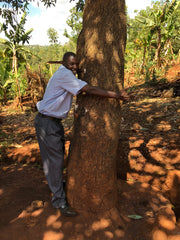 avo farmer hugging tree