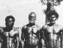 fit aborigines who had no sugar