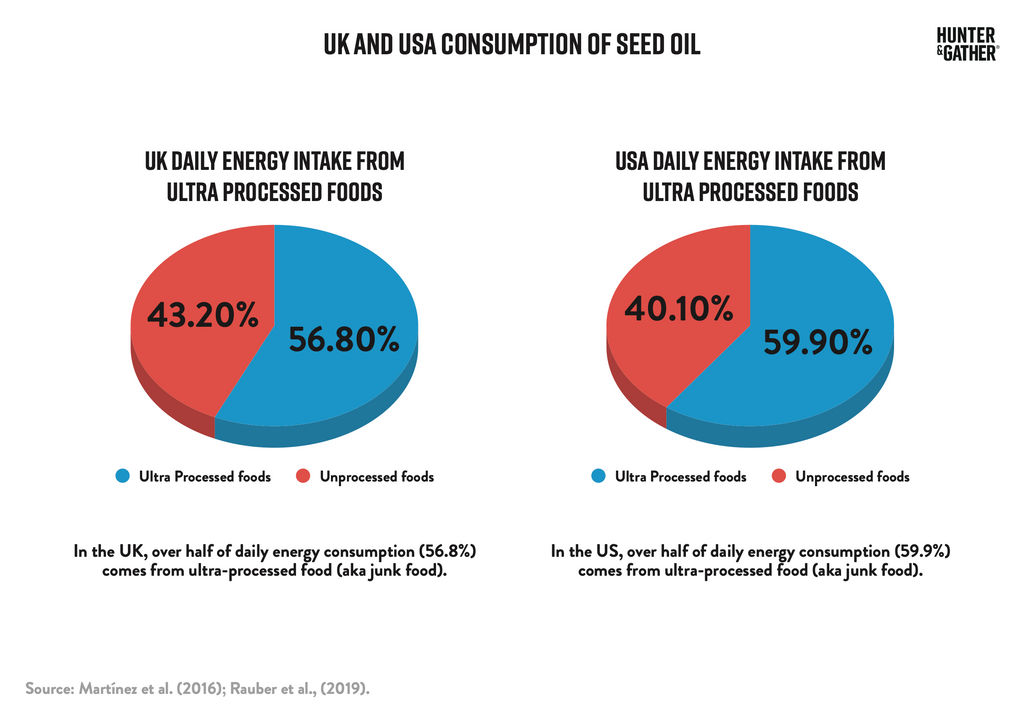 UK and USA Consumption of Seed Oil