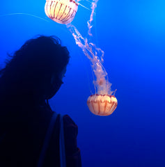 Young woman observing jellyfish