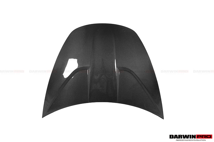 model 3 carbon fiber hood