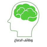 brain