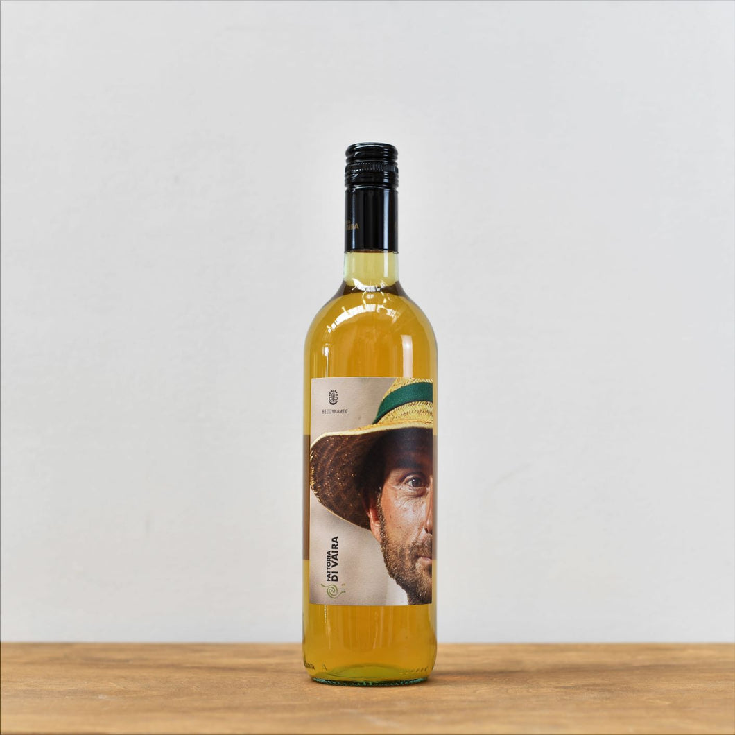 Indflydelse Stor mængde forseelser Vincenzo Bianco (Orange Wine), Vaira, Italy, Molise - natural orange wine -  monty wines – Monty Wines