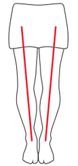 Check knee alignment illustration: Knees straight