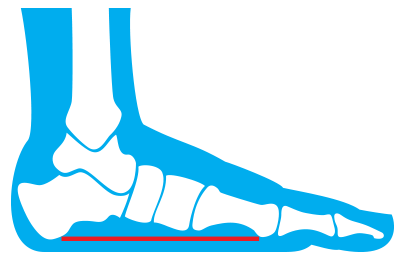 CURREX low profile illustration, having three arch profiles for each type of CURREX insole makes them highly customized.