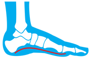 CURREX medium profile illustration, having three arch profiles for each type of CURREX insole makes them highly customized.