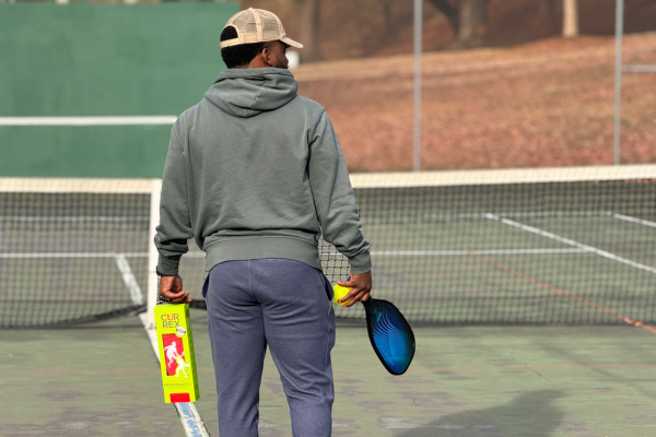 man standing on a court holding a pickleball paddle, a pickleball and pickleball insoles