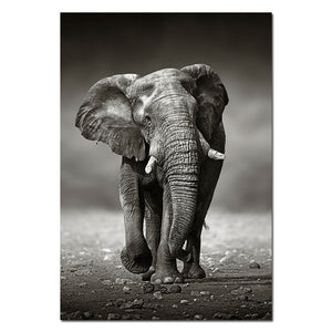 Animal Elephant Wall Art Canvas Poster And Print Minimalist