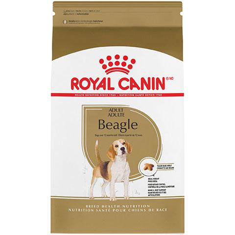 royal canin junior beagle